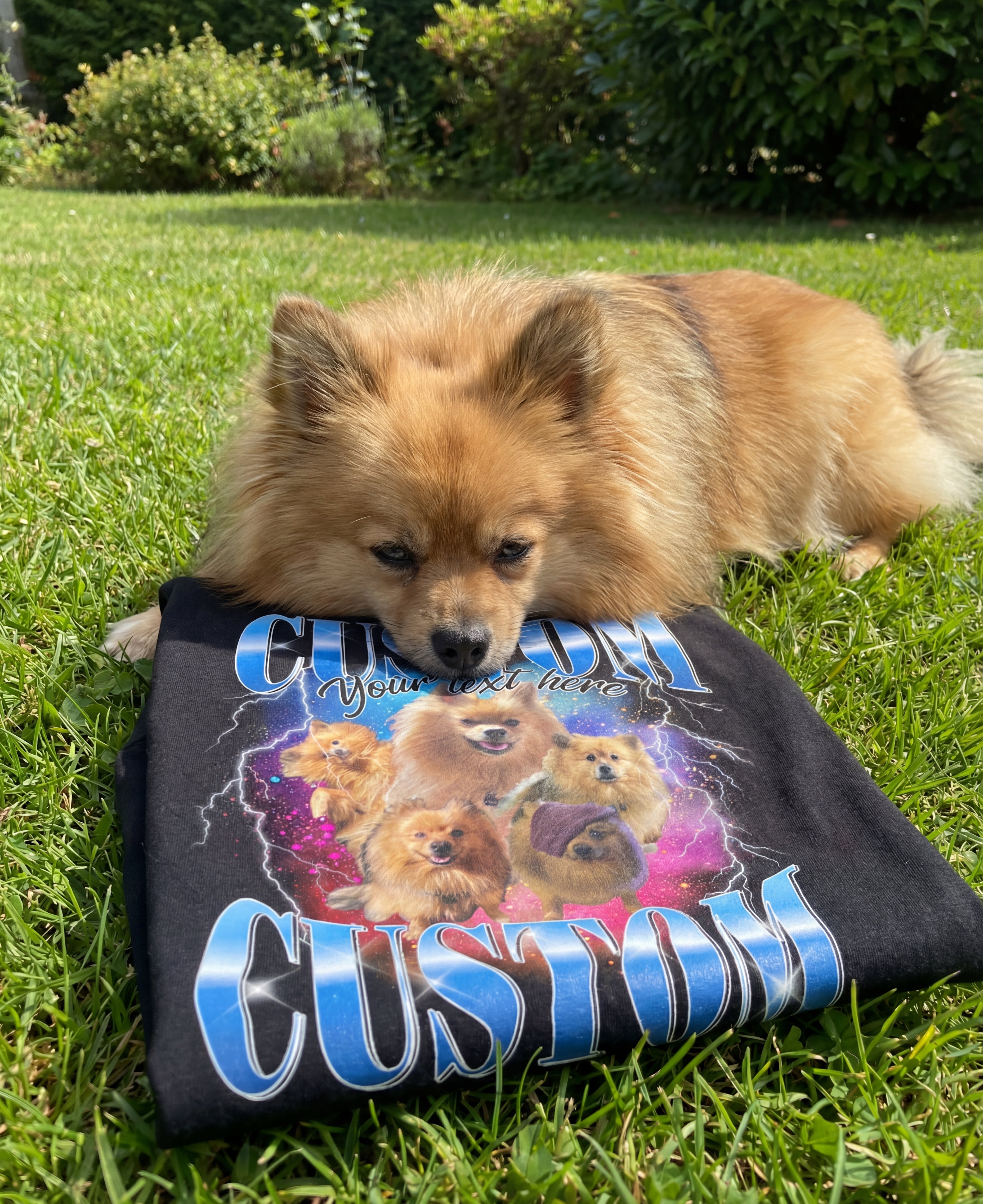 Vintage Personalised Pet T-shirt