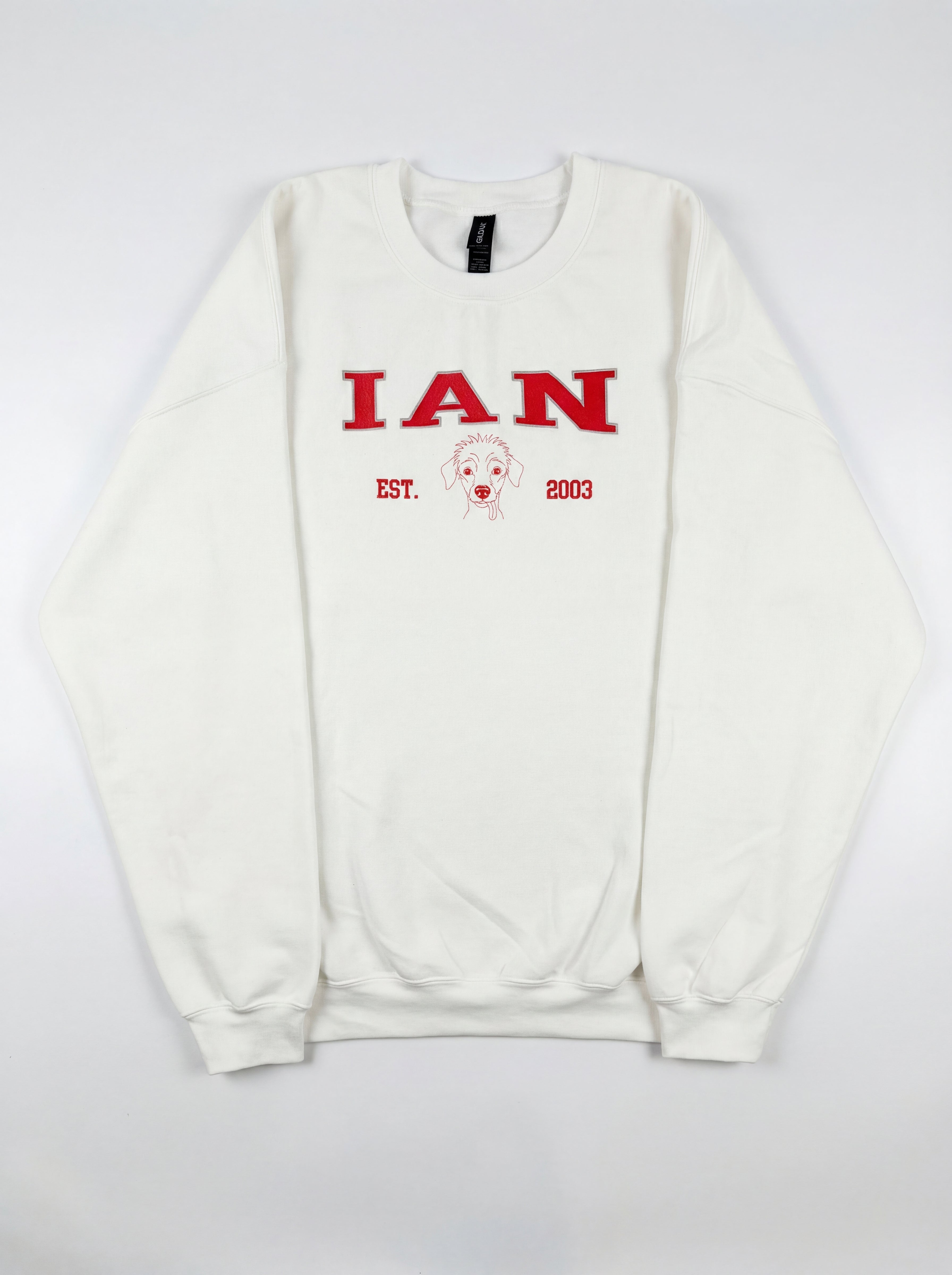 College Embroidered Pet Sweatshirt