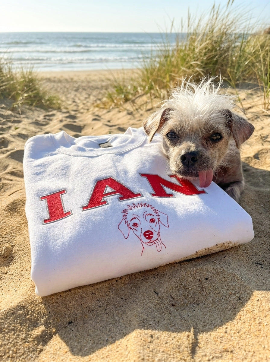 College Embroidered Pet Sweatshirt