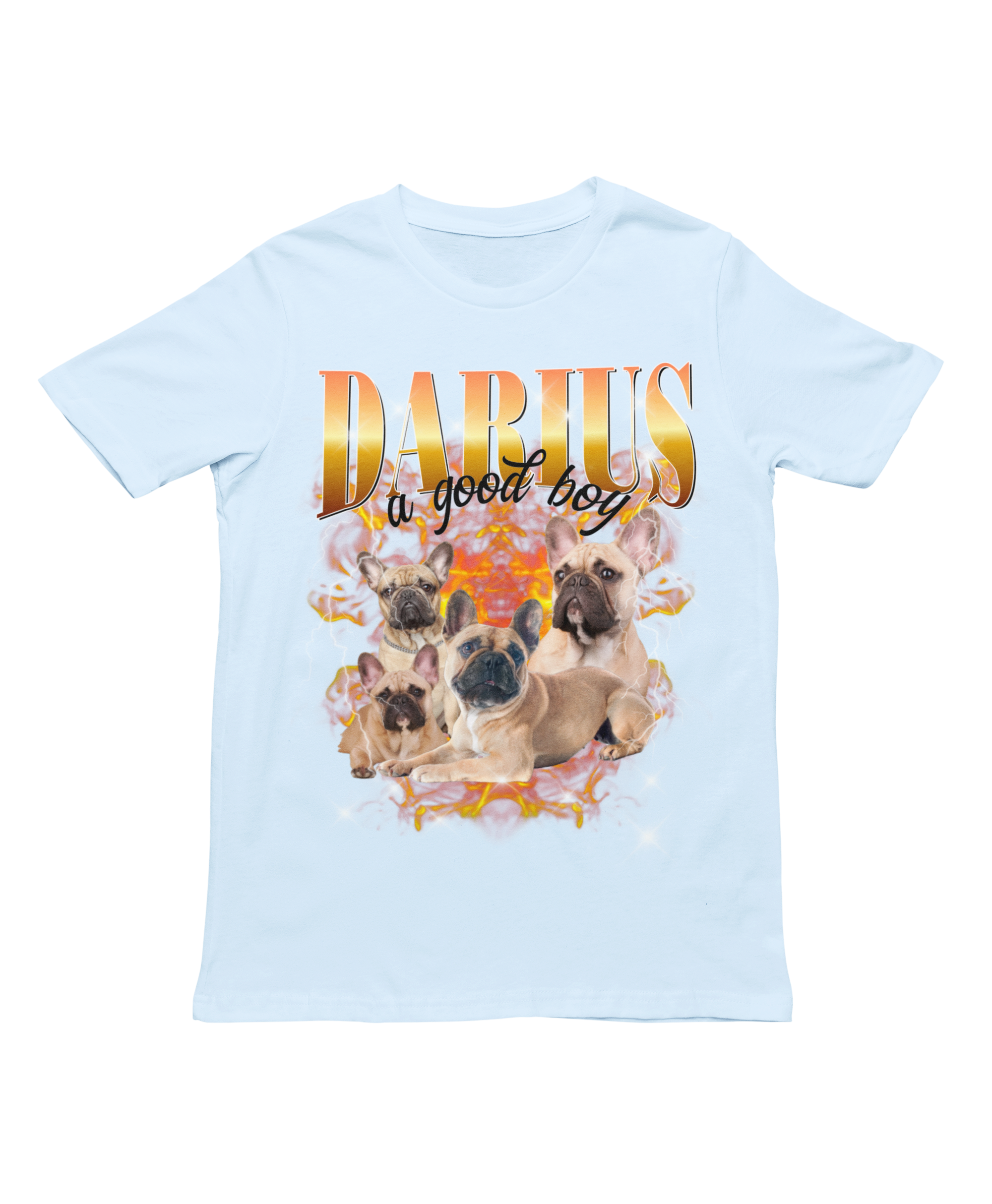 Vintage Personalised Pet T-shirt