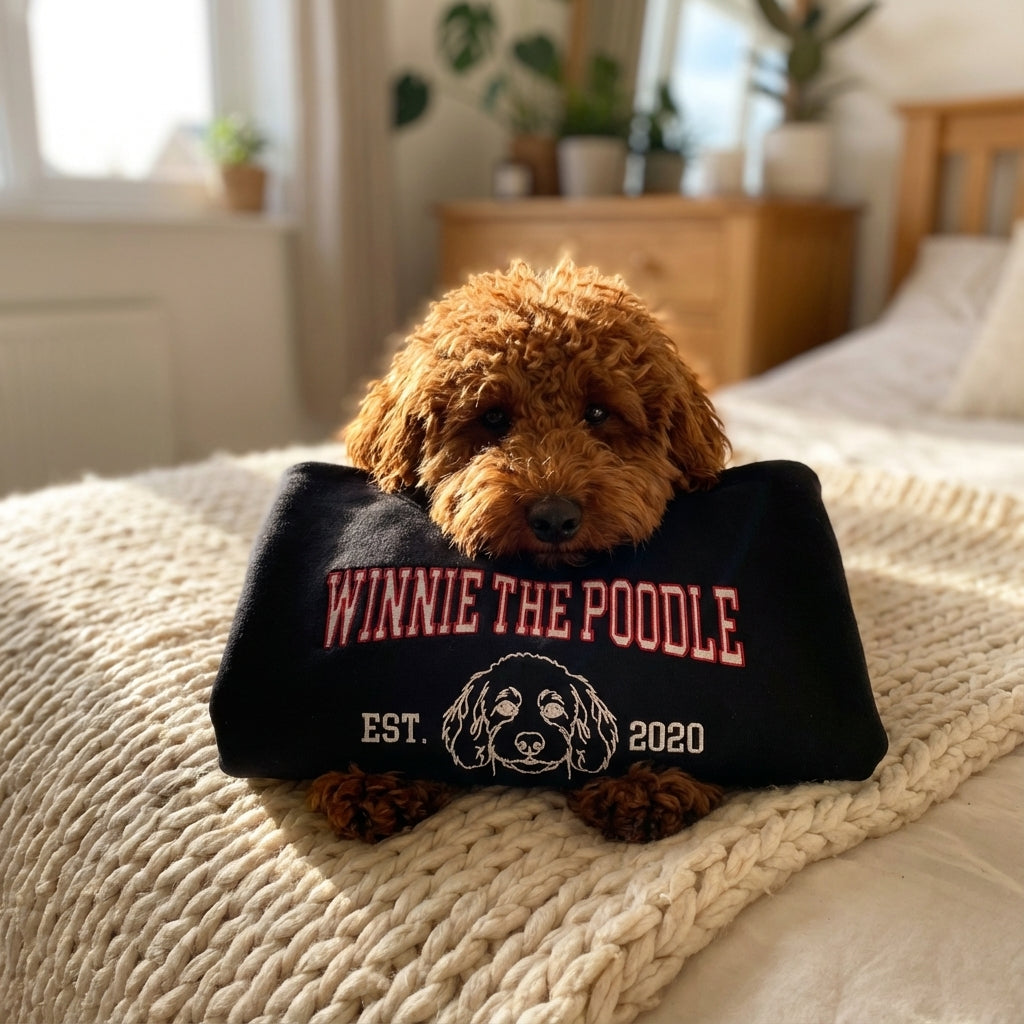 College Embroidered Pet Sweatshirt